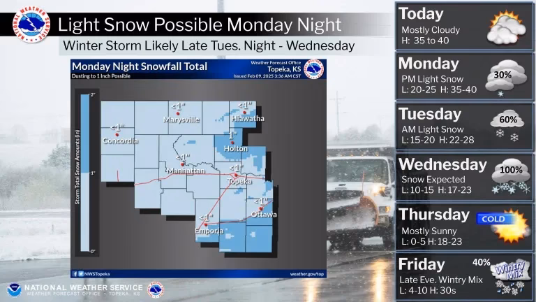 What is a behavioral neuroscience major at KU?