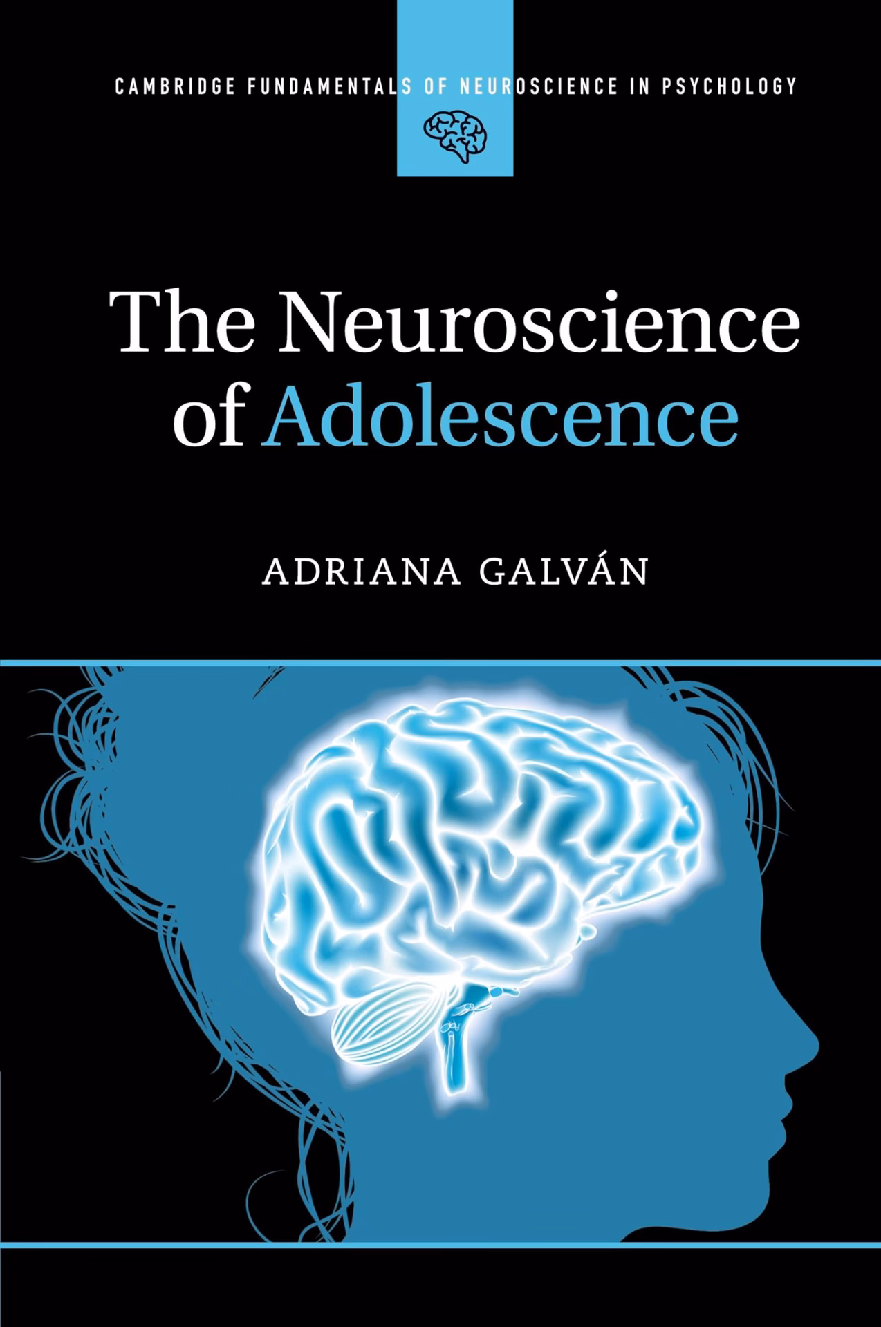 What is the behavioral development of adolescence?