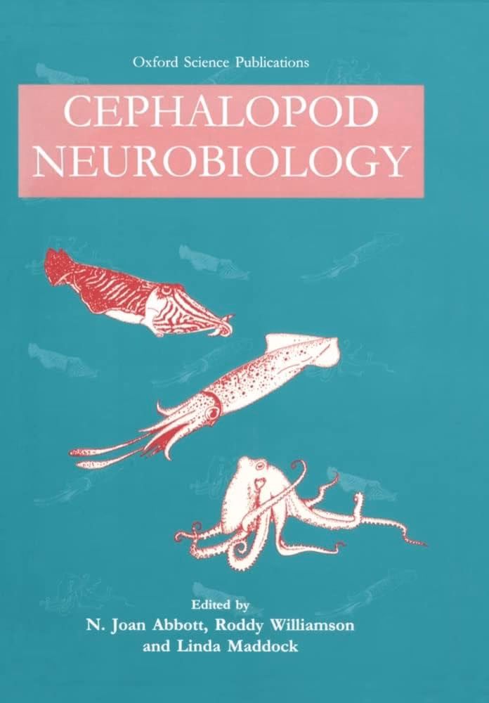 What kind of brain do cephalopods have?