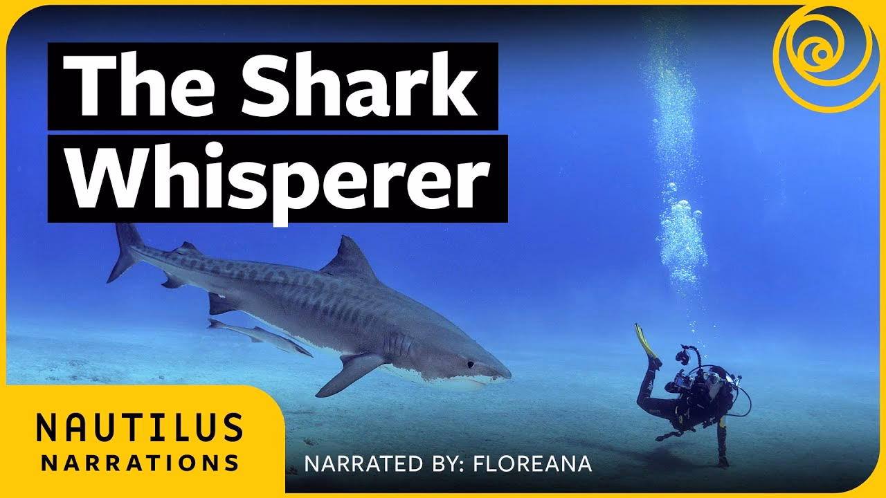 What degree is needed to study sharks?