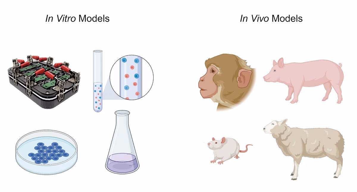 What is the laboratory for drug discovery in neuroscience?