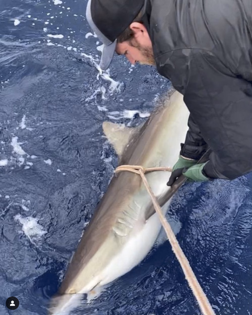 Who is the most famous shark researcher?