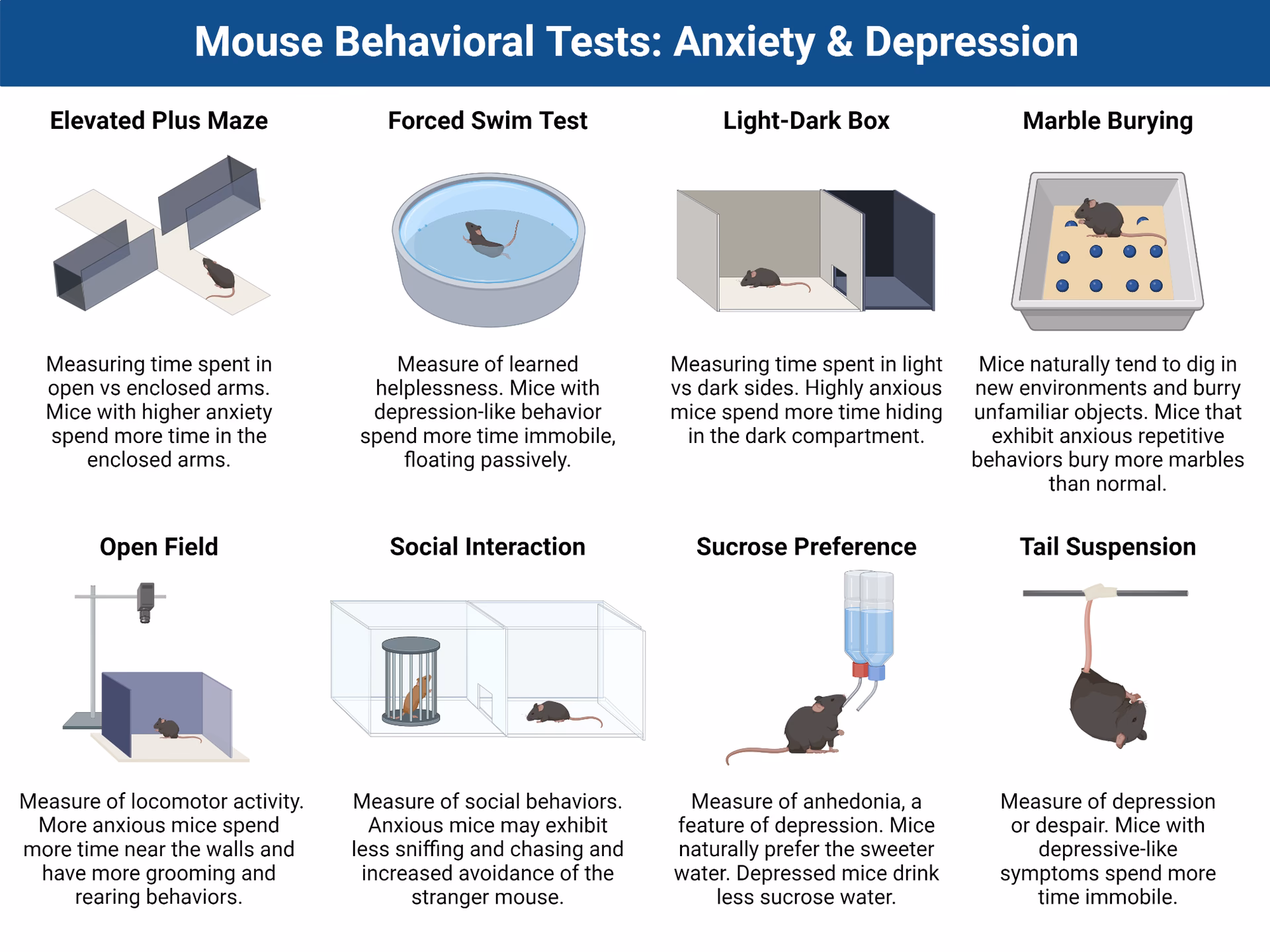 What is a neurobehavioral test?