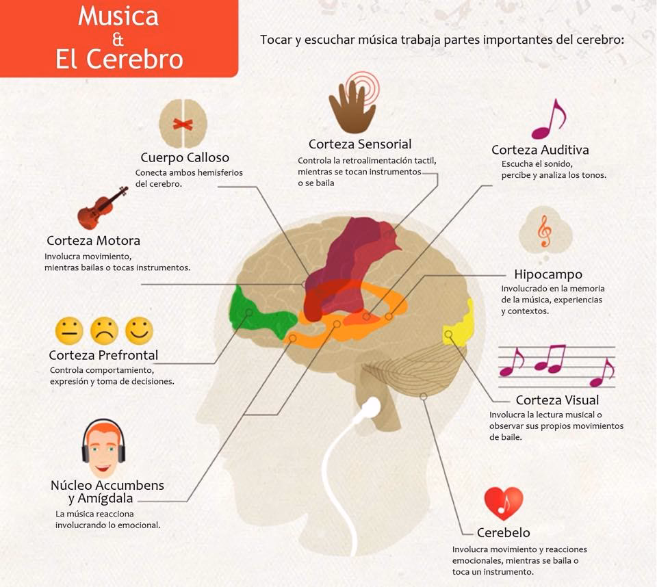 ¿Qué le pasa a tu cerebro cuando cantas?