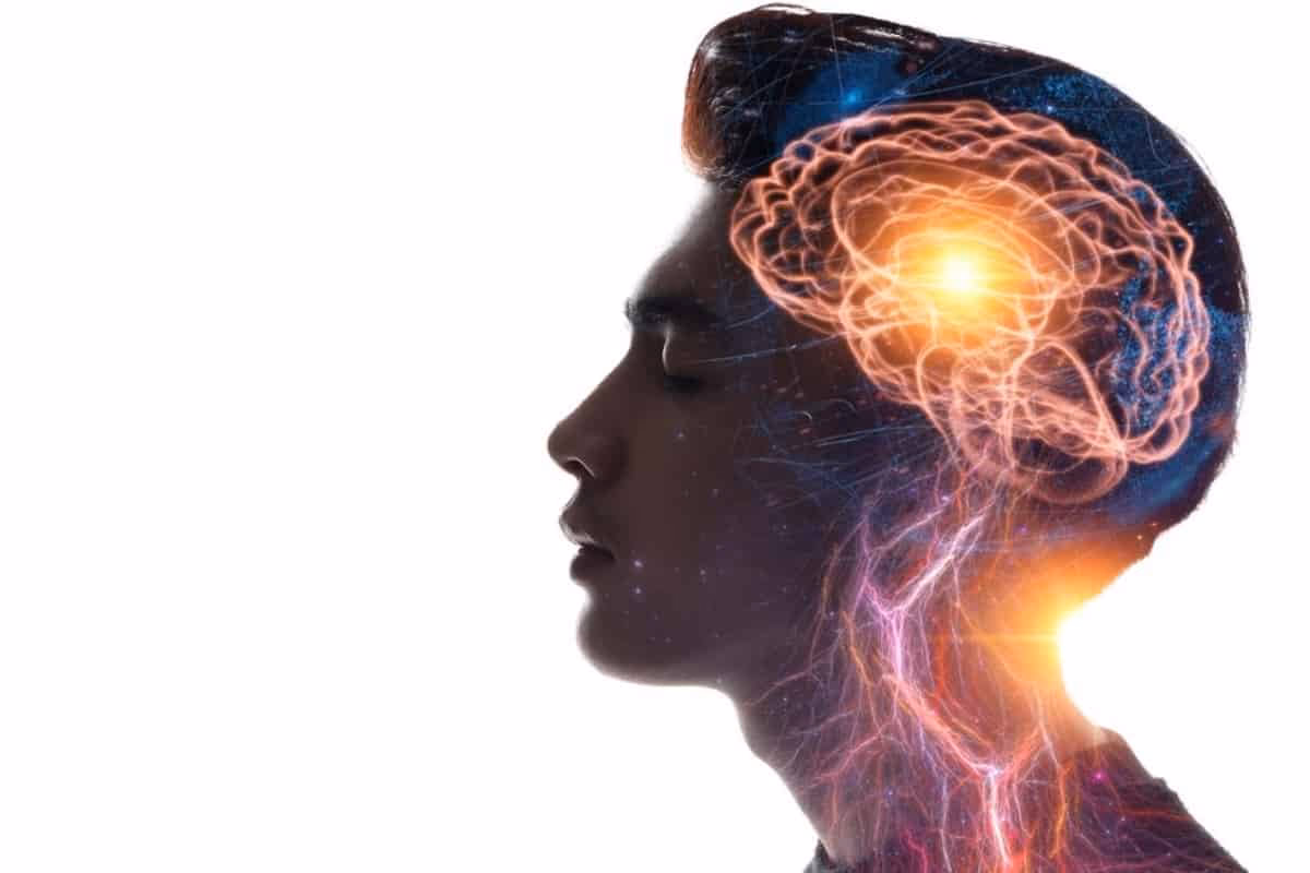 ¿Cómo se aplica la neurociencia a la educación física?