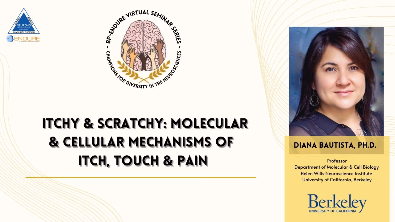 What percentage of UC Berkeley students are LGBTQ?