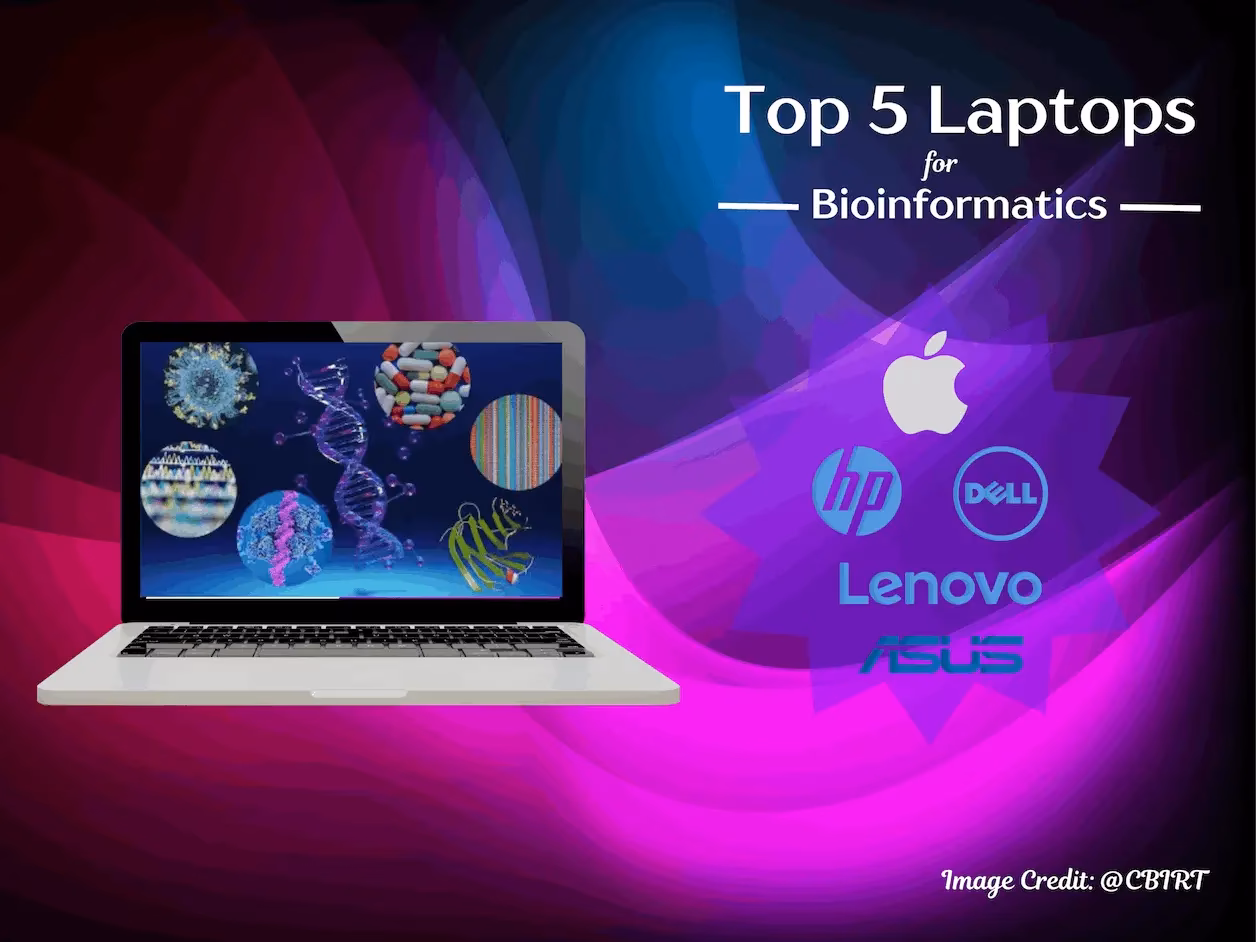 Which laptop is good for PhD?