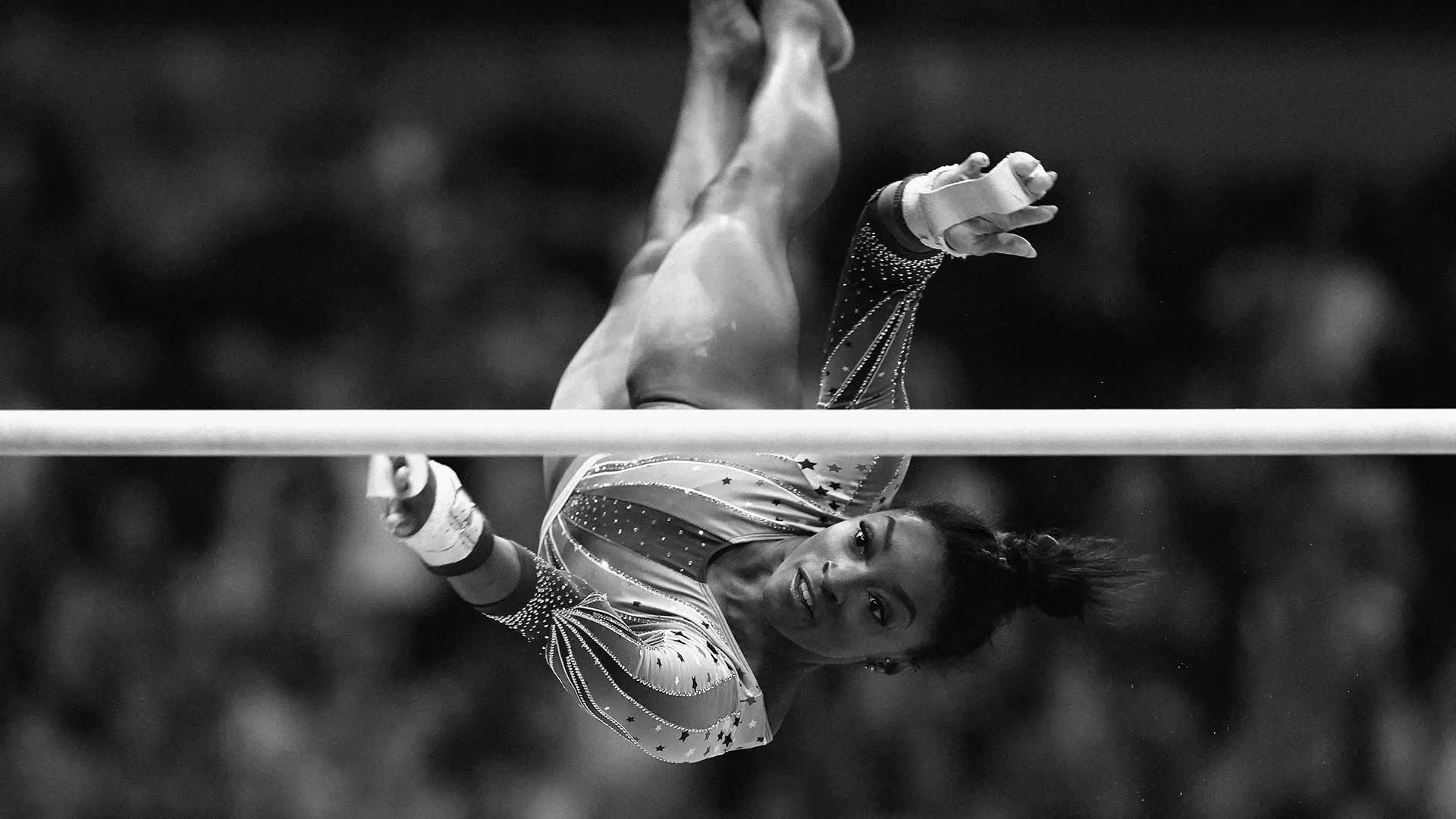 What is the cerebellum in neuroscience?