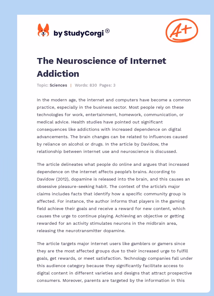 What is the theory related to internet addiction?