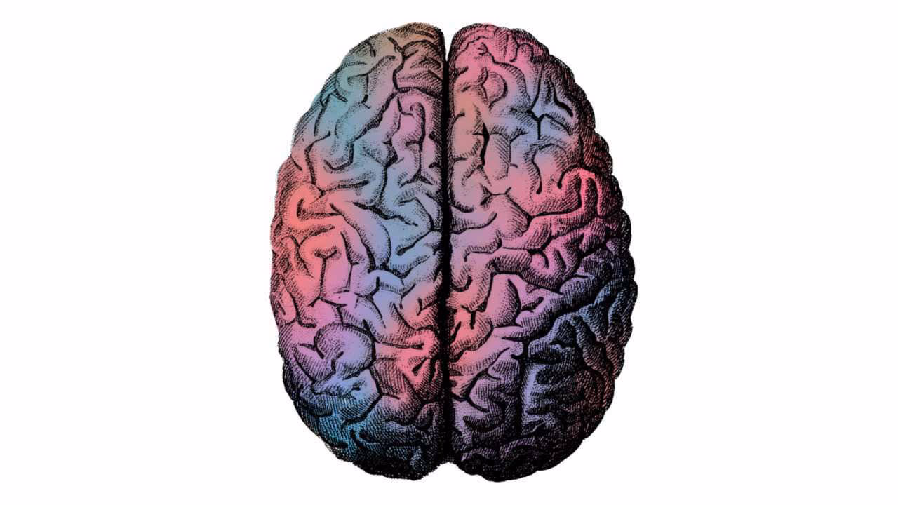 Do neurons communicate in binary?