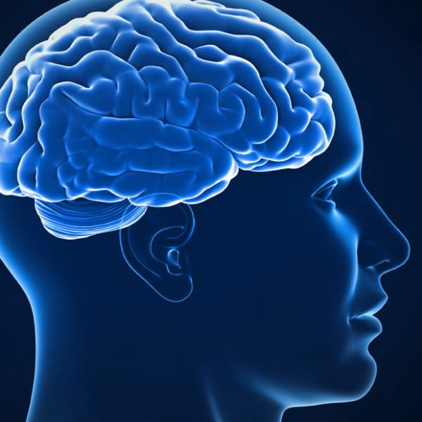 What is WashU bioengineering ranked?