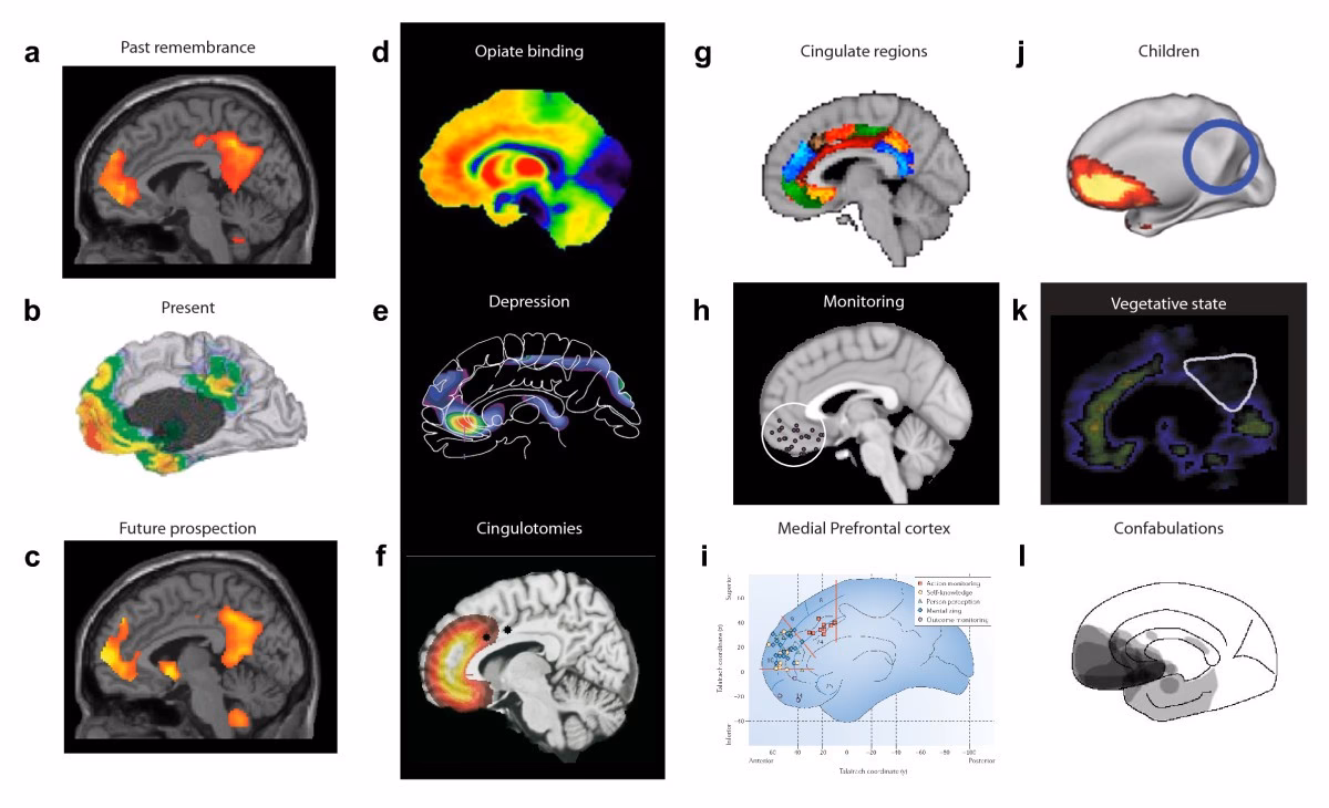 What is the biochemistry of pleasure?