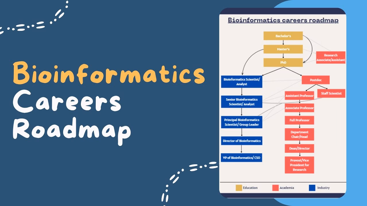 What are the career opportunities for bioinformatics?