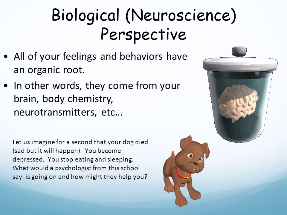 What does the biological or neuroscience perspective suggest as the cause of mental illness?