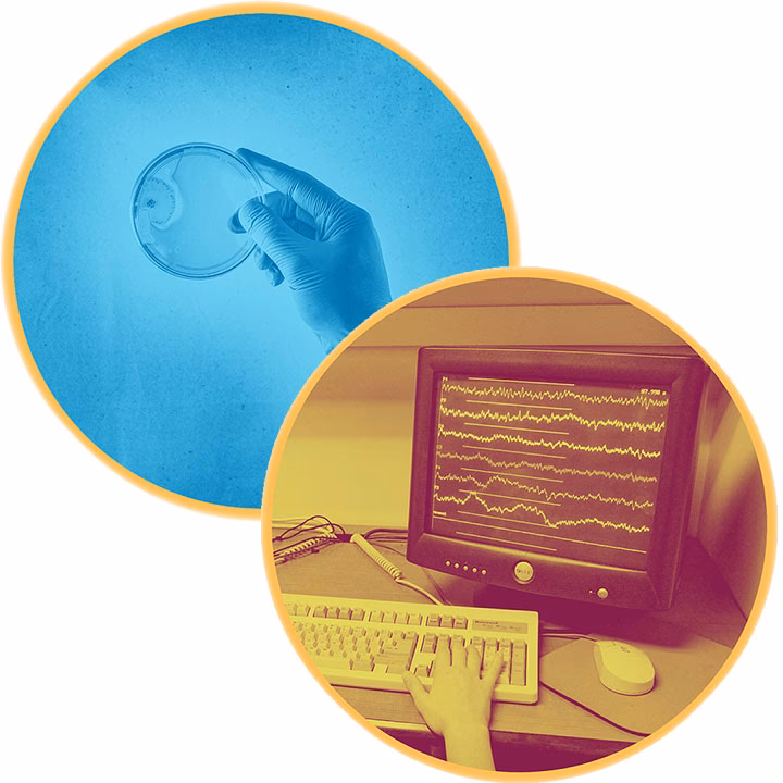 Is BioPNB a double major?