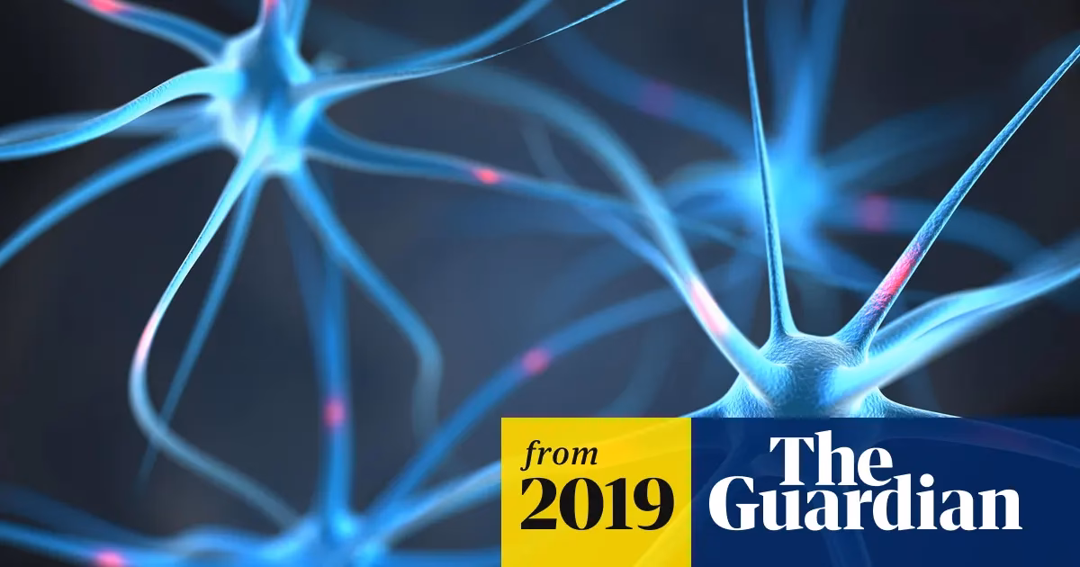 What is the bionic brain?