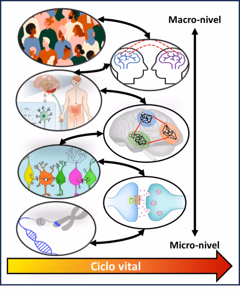¿Cómo se relaciona la bioquímica con la neurociencia?