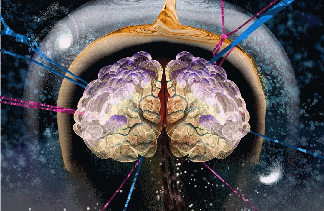 ¿Qué es un máster en biotecnología para la neurociencia?