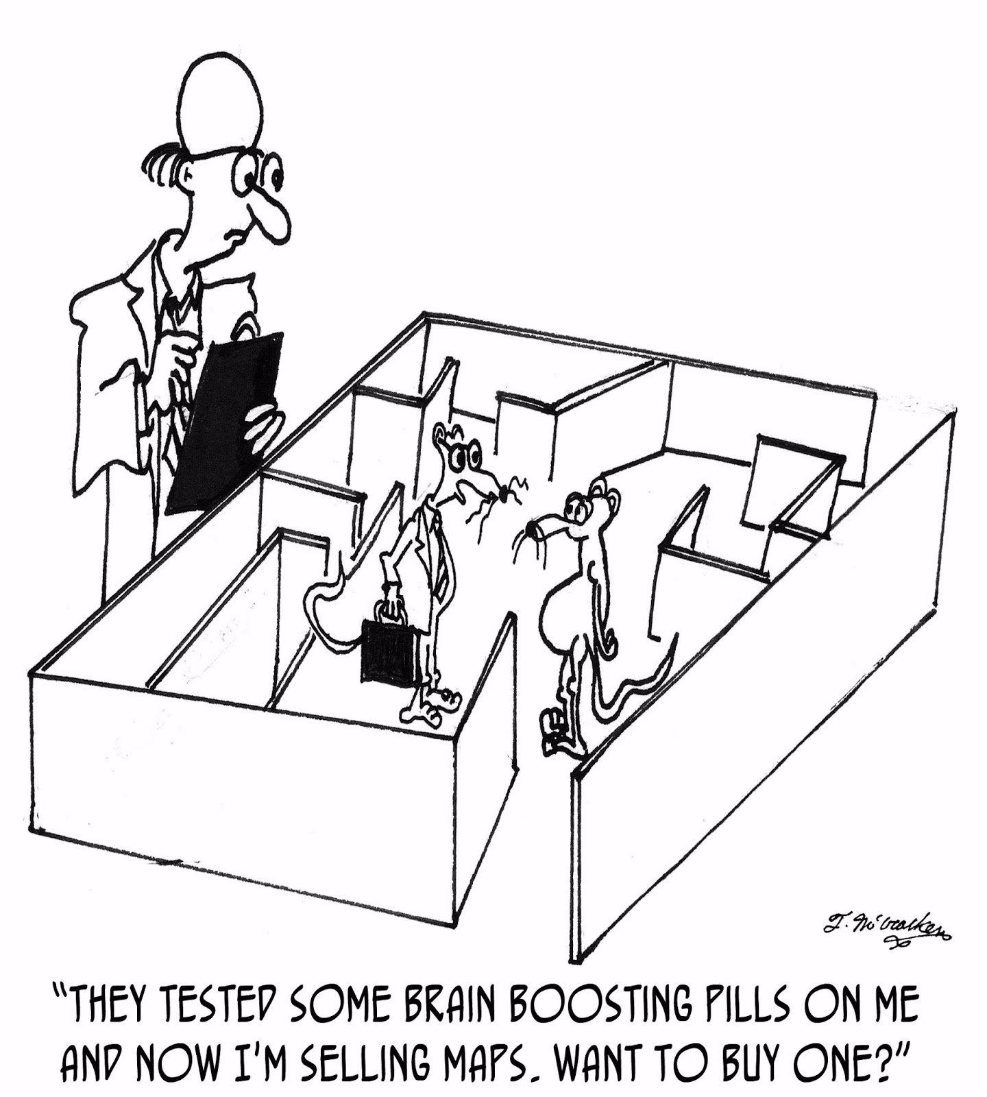 Why is the brain important in education?