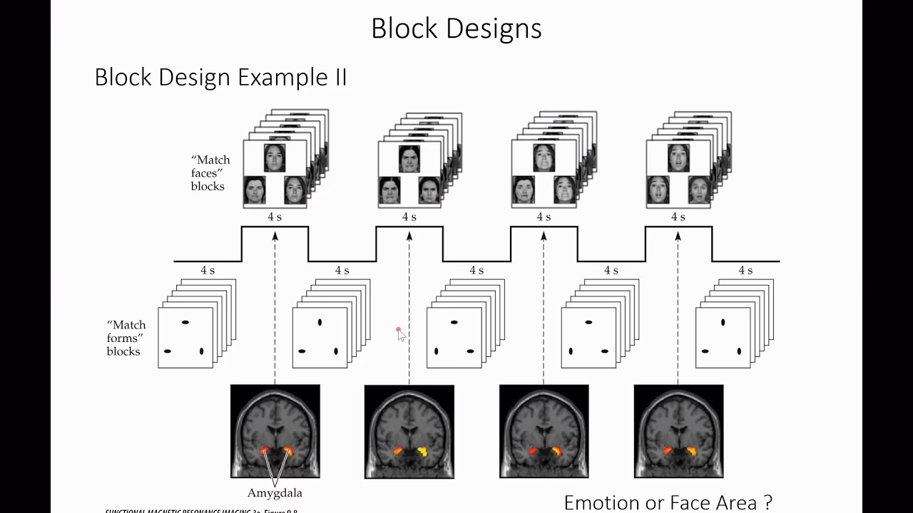 What's the block design subtest all about?