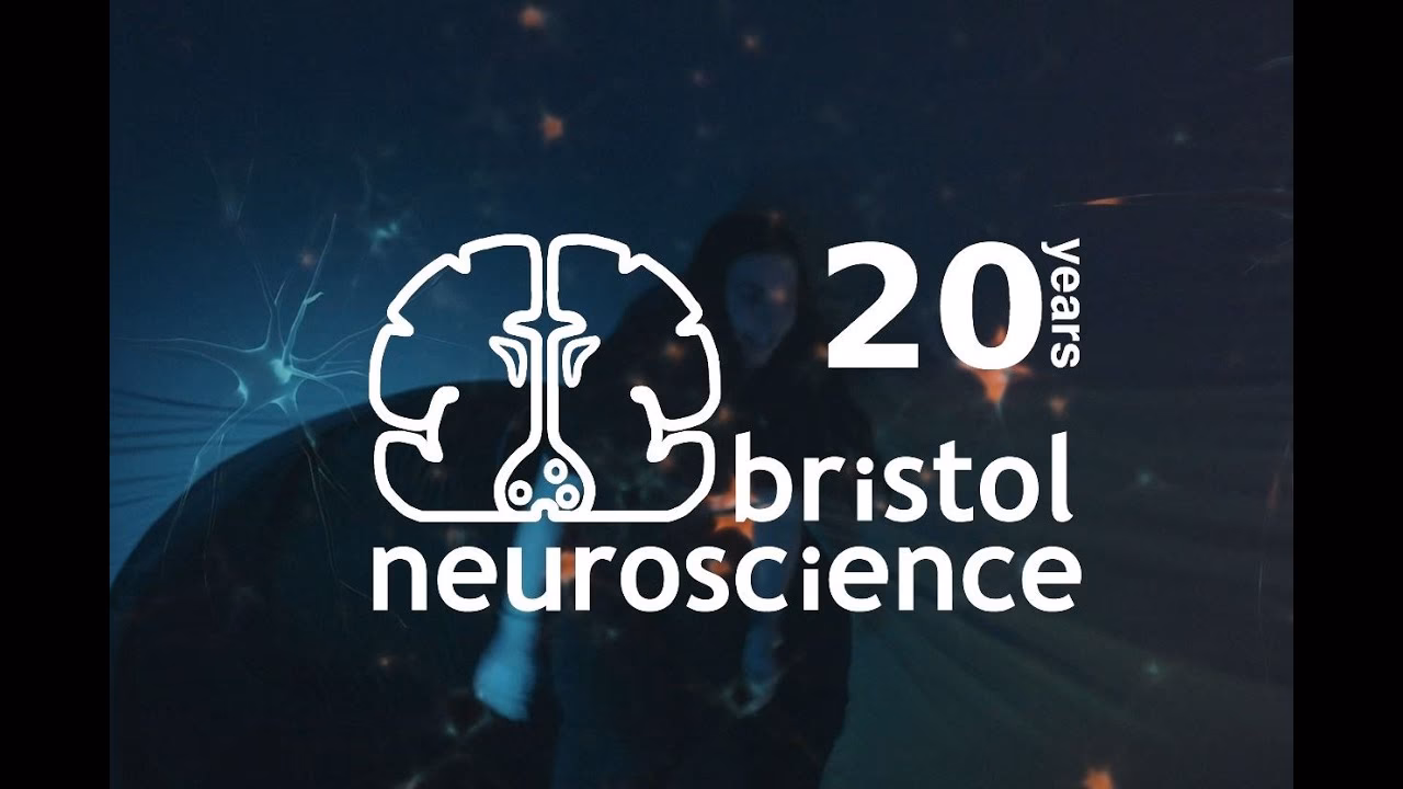 How do I contact Bristol University?