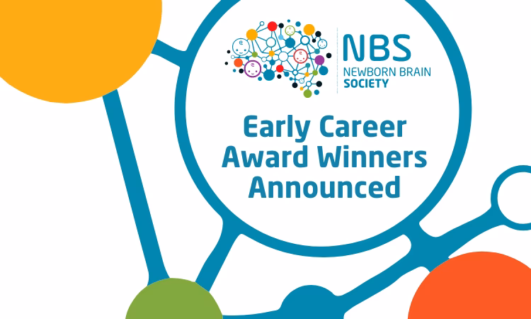What is the Early career Achievement Award?