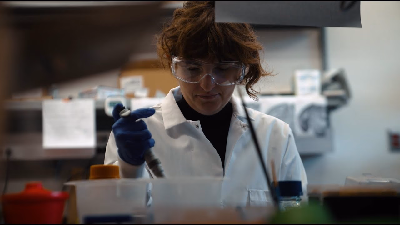 Does Brown PhD require GRE?