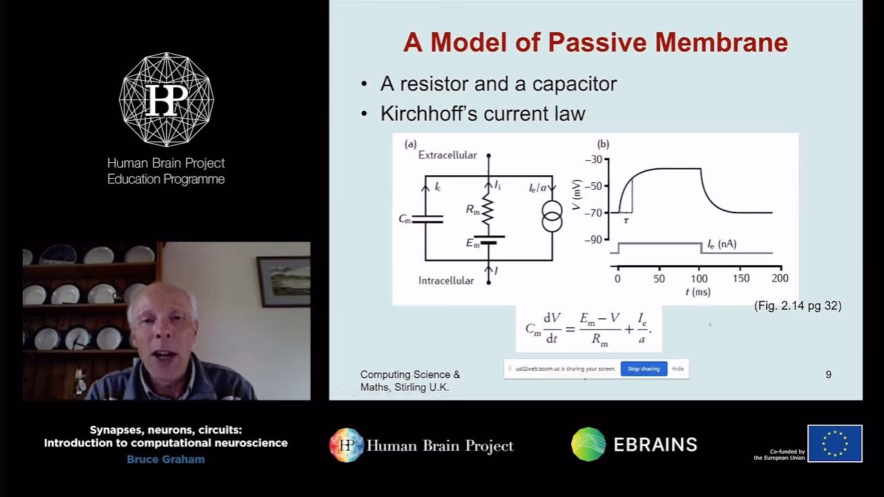 Where is Bruce Graham from?