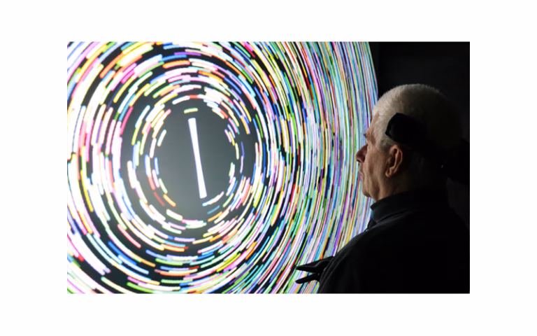 What is UCL neuroscience undergraduate degree?