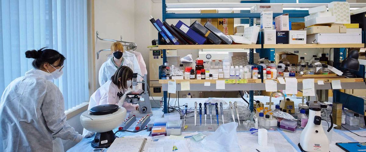 What is the summer program for Boston University research?