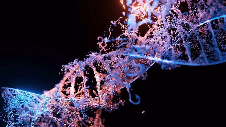 What is the biggest issue with genetic engineering on humans?