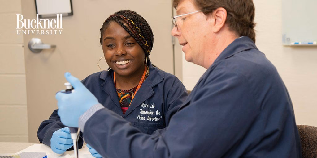 What are the top 3 majors at Bucknell University?