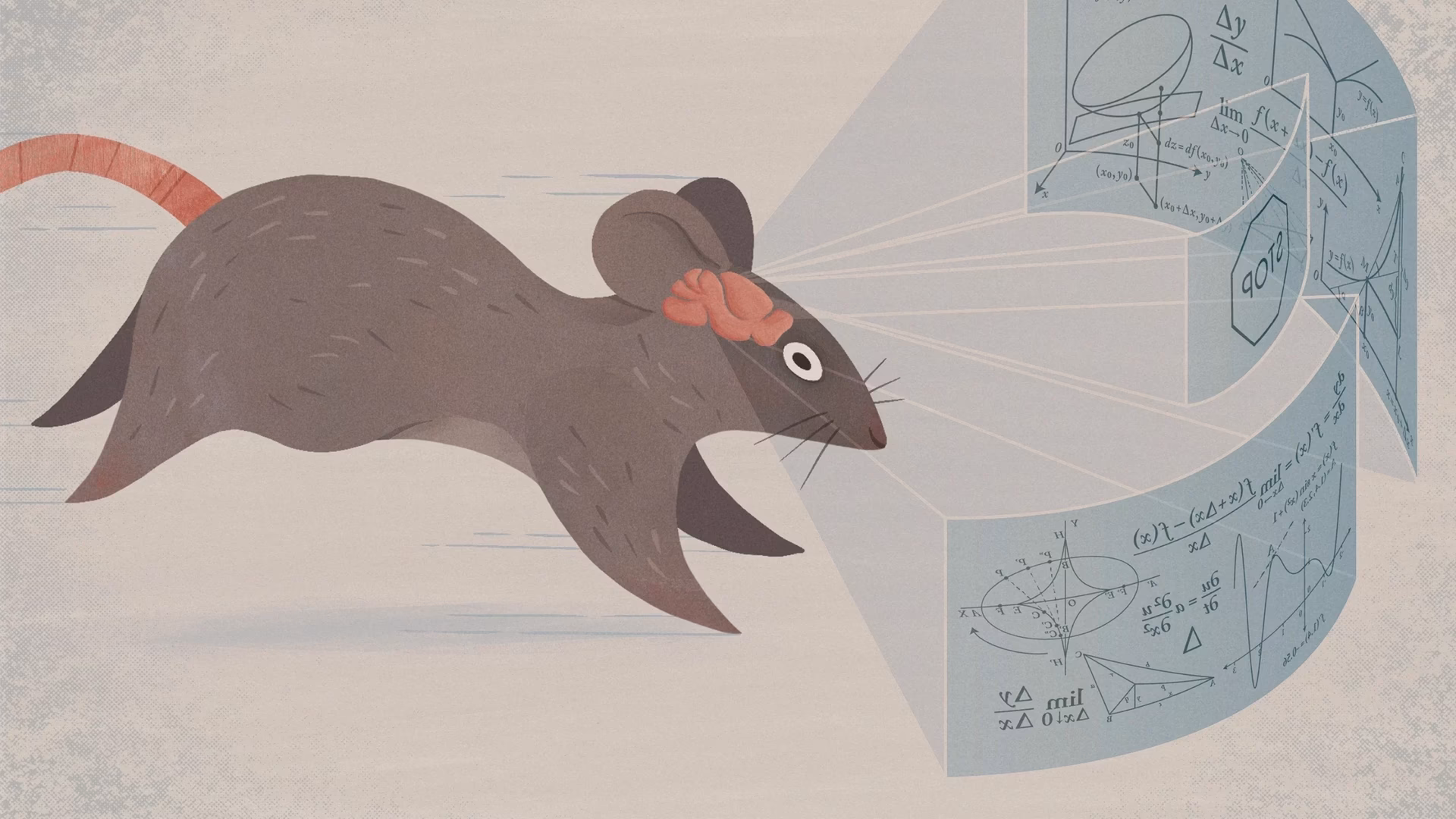 How is calculus used in NASA?