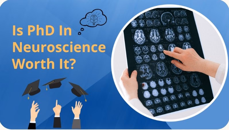 Can someone with a PhD prescribe medication?