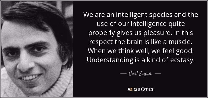 What did Carl Sagan say about the brain?