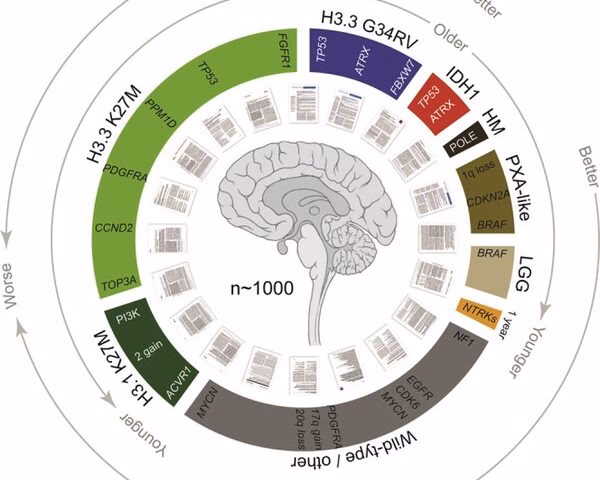 What is the difference between Carleton Honours and non Honours?