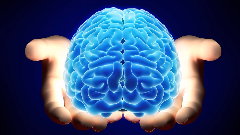 ¿Qué carrera se necesita para estudiar neurociencia?