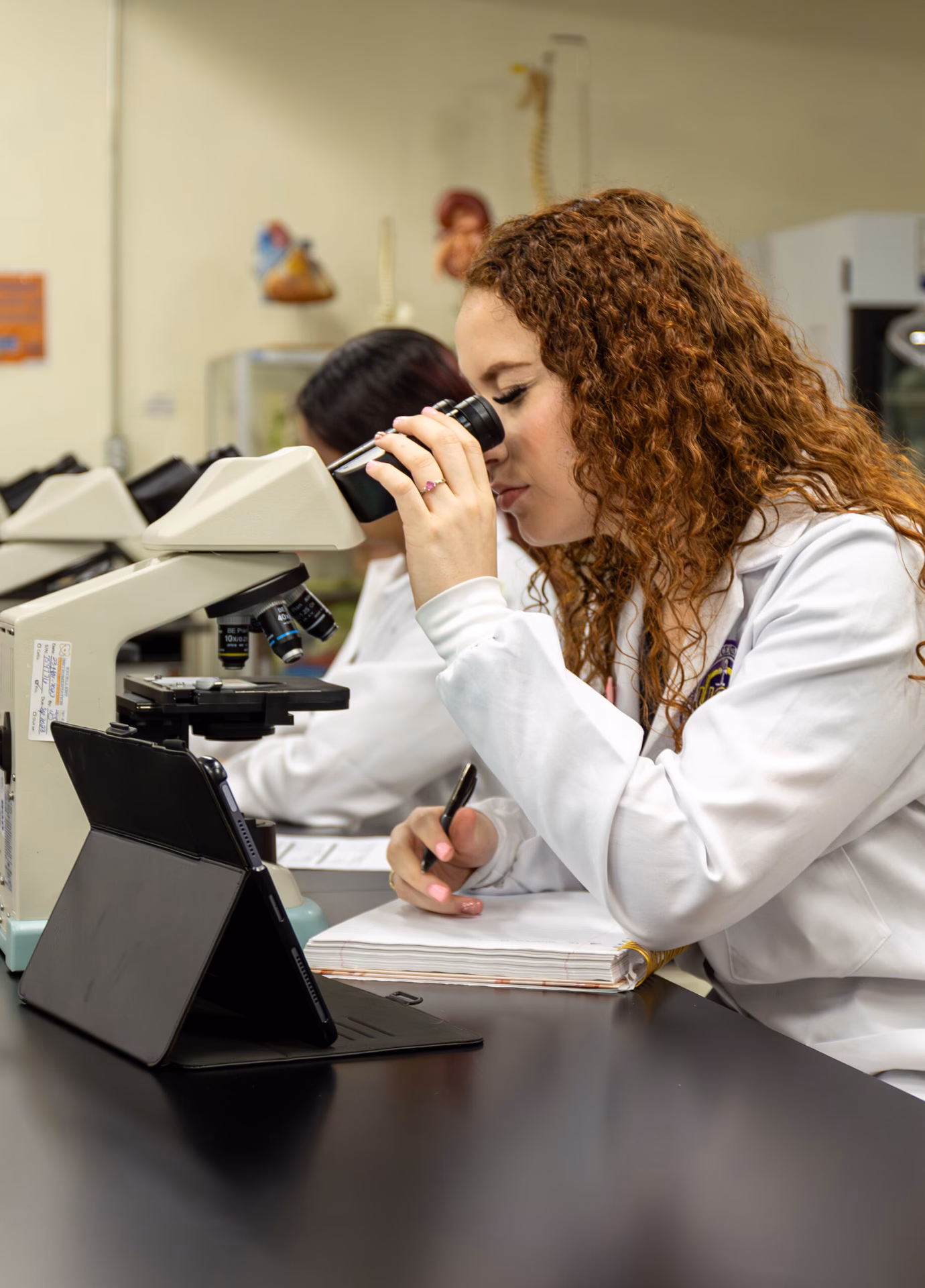 Is UBC good for neuroscience?