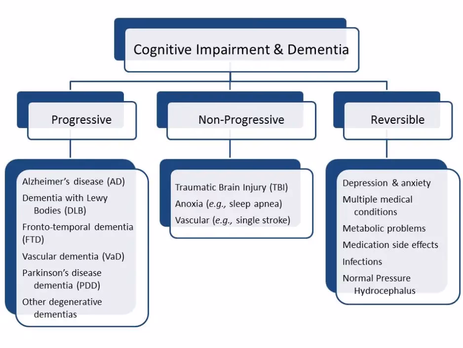 What are the 4 main causes of dementia?