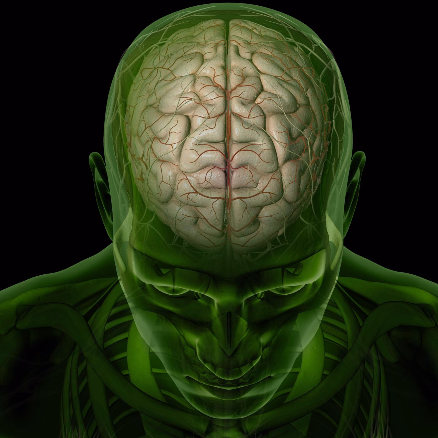 ¿Qué pasa en el cerebro cuando hay celos?