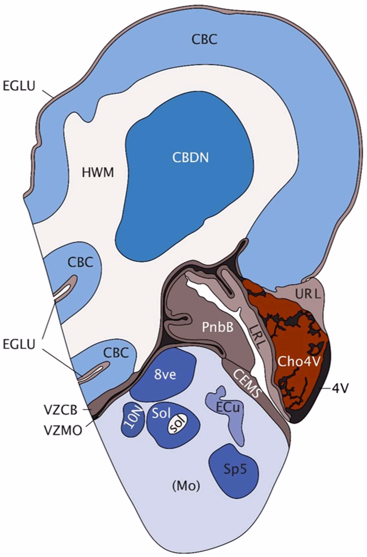 What does CEMs stand for?