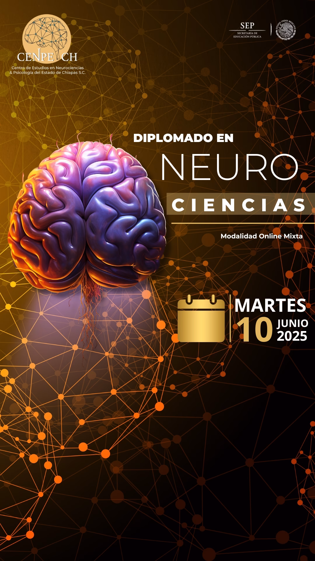 ¿Dónde trabajan los neurocientíficos del comportamiento?