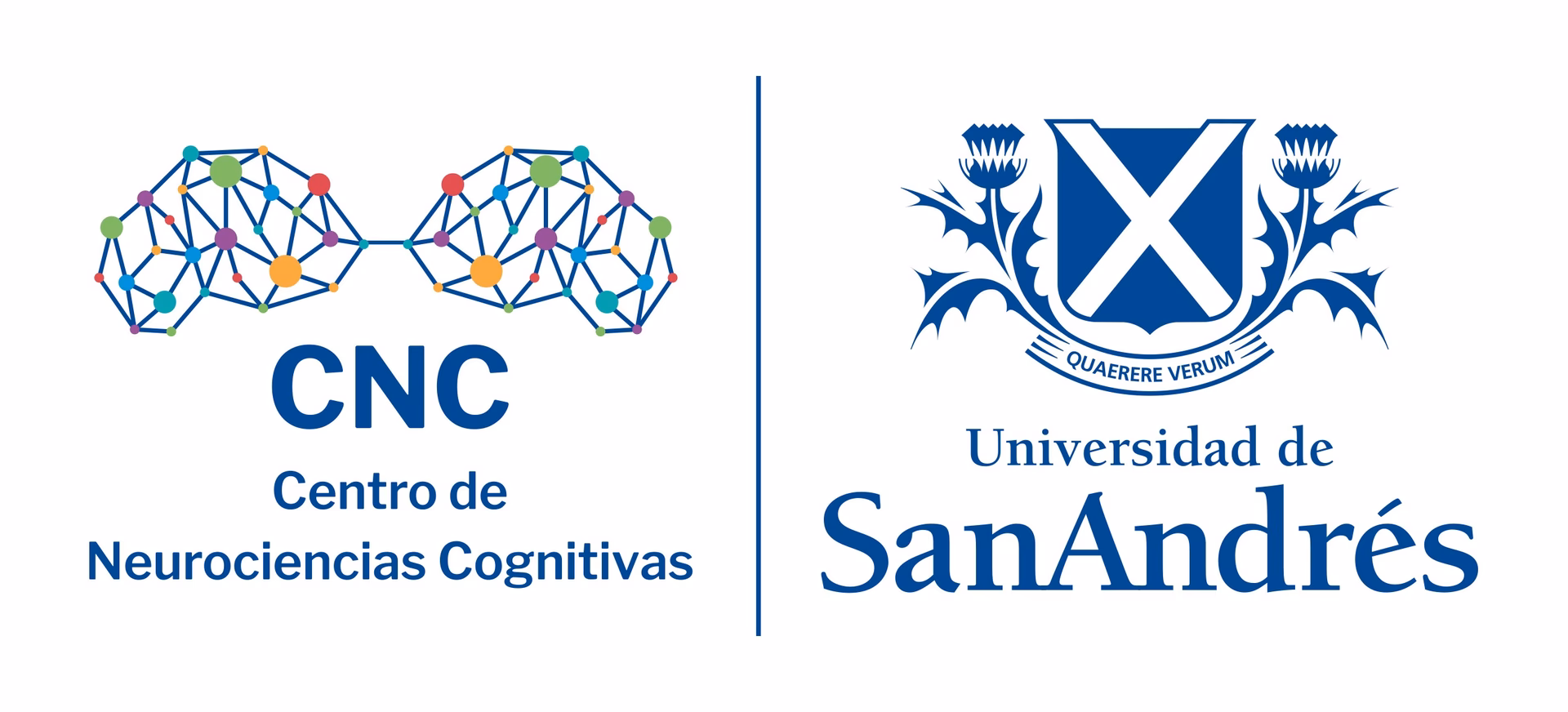 ¿Qué es un centro de neurociencia?