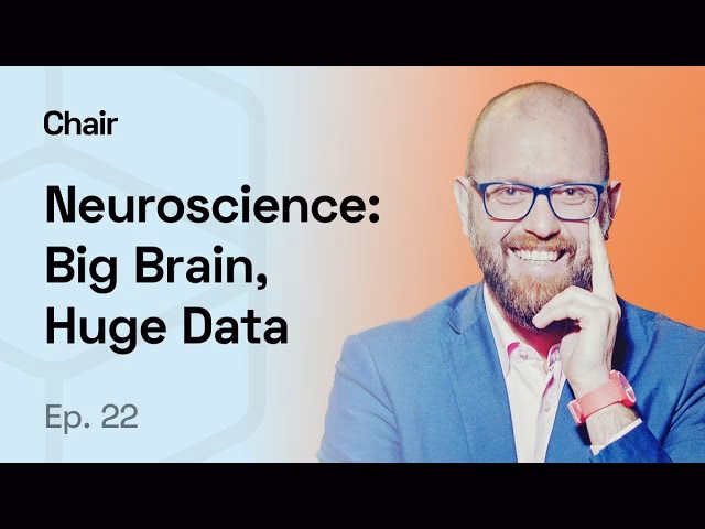 Who is the chair of lifespan developmental neuroscience?