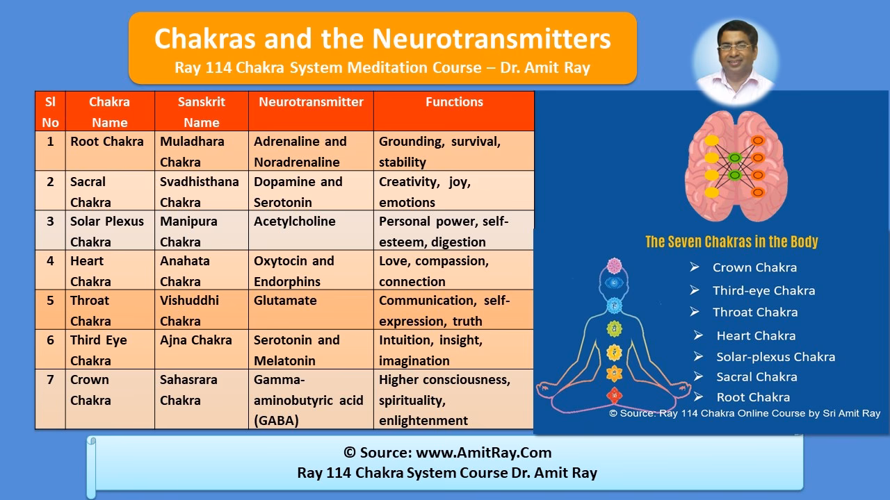 What chakra is associated with the brain?