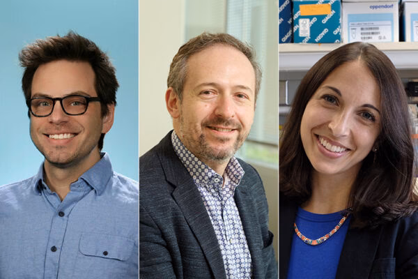 What is the purpose of the Chan Zuckerberg Initiative?