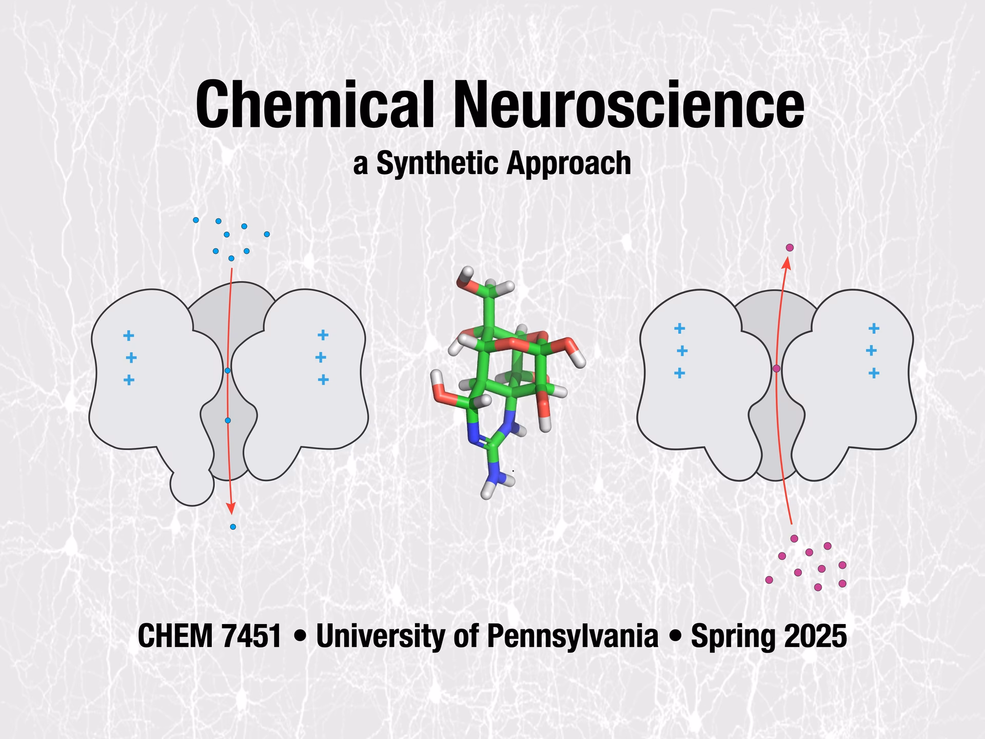 What are the different types of neurochemistry?