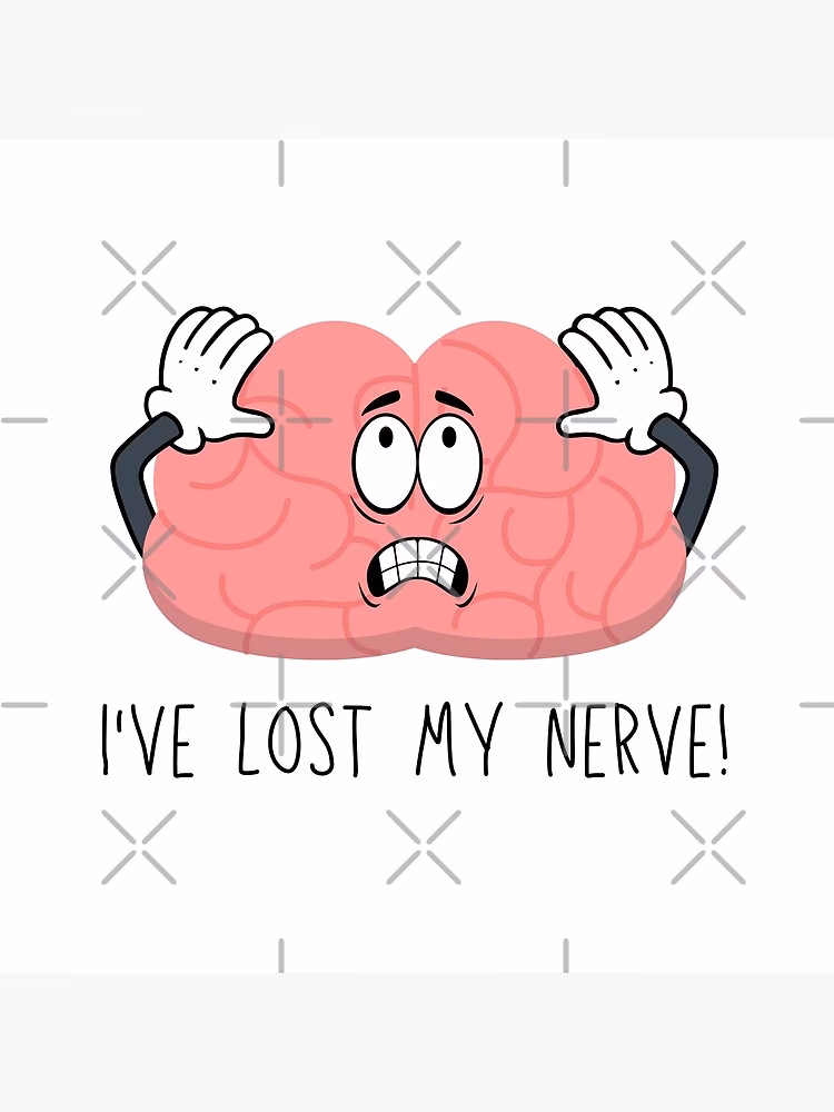 ¿Qué parte del cerebro se encarga de los chistes?