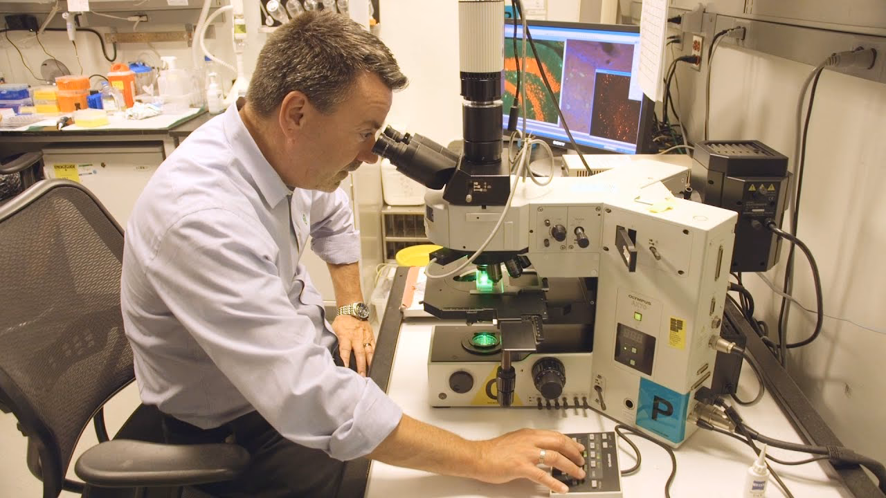 Who is the scientific director of Nichd?