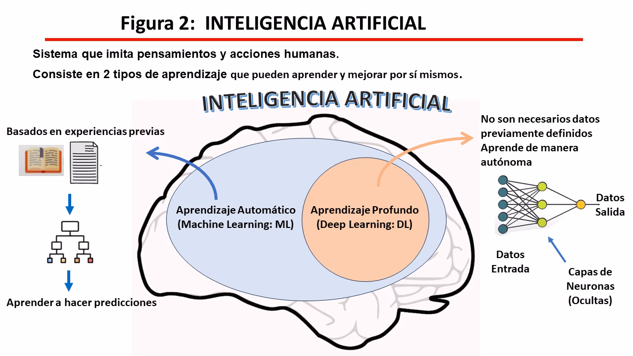¿Qué es la simulación en neurociencia?